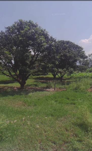 Property image for Vikas Nagar, Dehradun