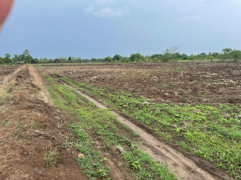Additional image 2 of Bardoli, Surat