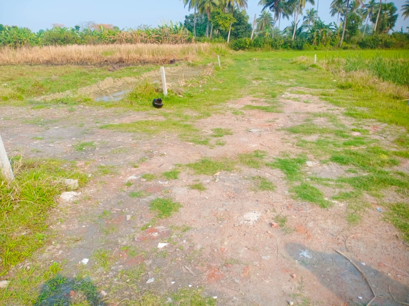 Additional image 2 of Rasapunja, Kolkata