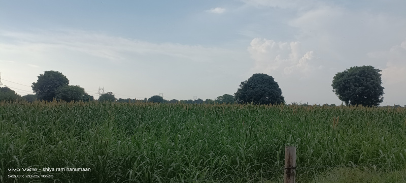 Additional image 3 of MG Road, Agra