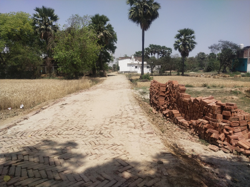 Property image for Danapur, Patna
