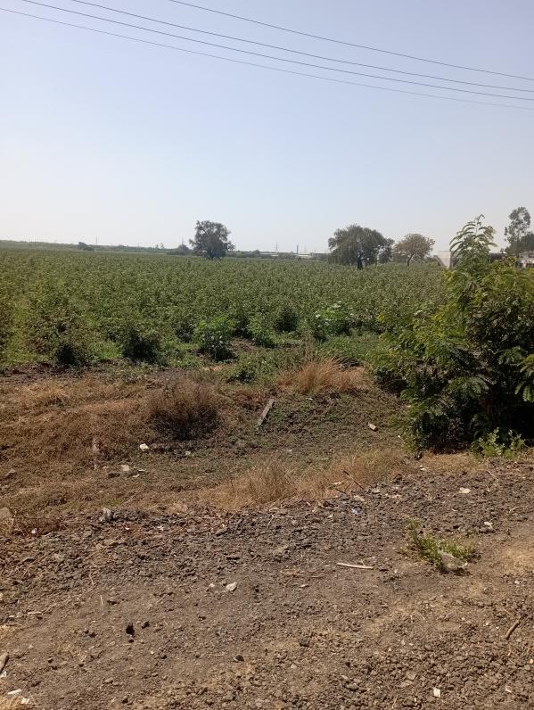 Additional image 2 of Karjan, Vadodara