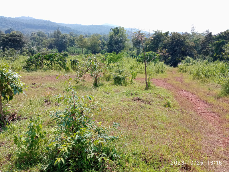 Additional image 3 of Tivim, North Goa, Goa