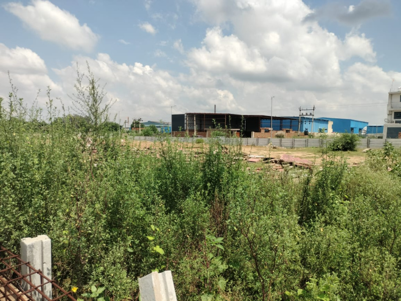 Additional image 2 of Chopanki, Bhiwadi