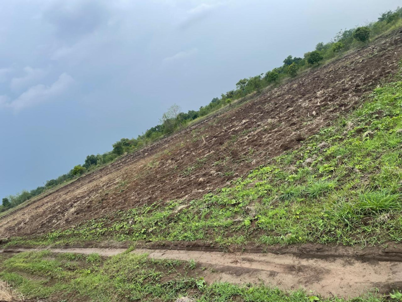 Additional image 3 of Bardoli, Surat