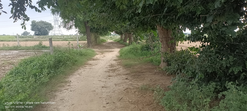 Additional image 2 of MG Road, Agra