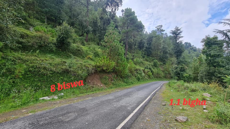 Property image for Chail, Shimla