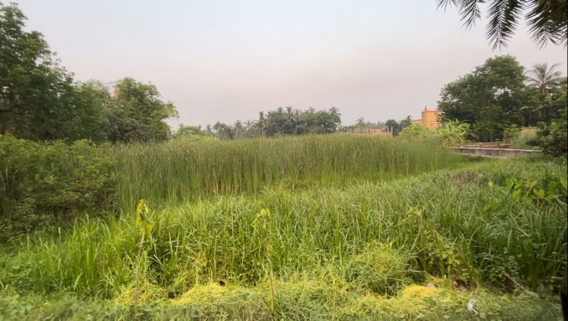 Additional image 3 of Kabardanga, Kolkata