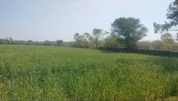 Additional image 3 of Dabok, Udaipur