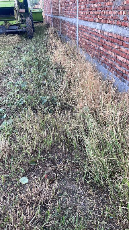 Additional image 3 of Pakhowal Road, Ludhiana