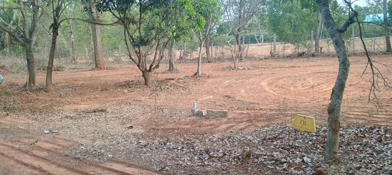 Devanahalli, Bangalore