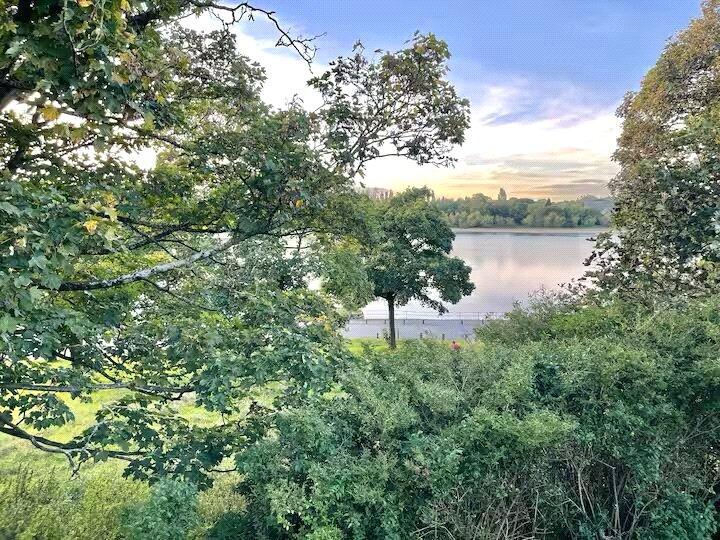 Additional image 16 of Daisy Road, Edgbaston, Birmingham, B16