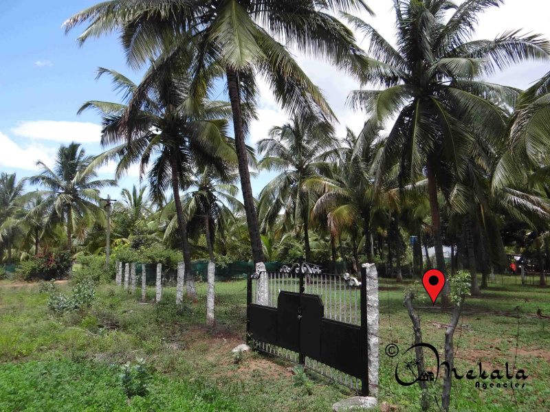 Property image for Thondamuthur Road, Coimbatore