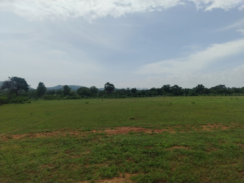 Additional image 2 of Kadthal, Hyderabad