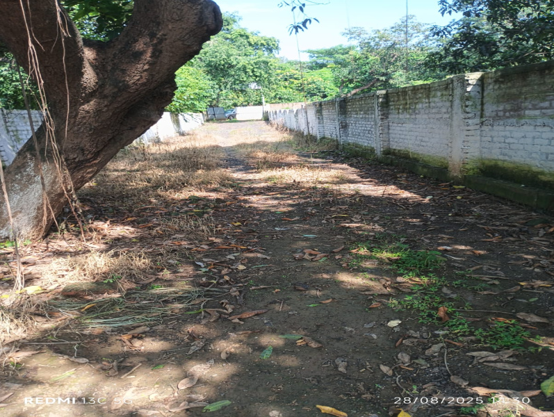 Property image for Kanhauli, Bihta, Patna