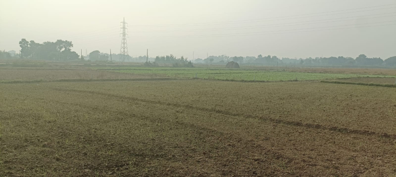 Property image for Bihta, Patna