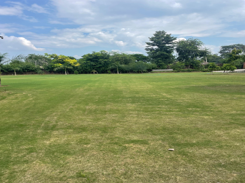 Property image for Sohna, Gurgaon