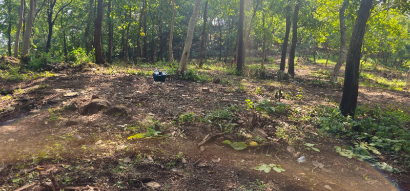 Property image for Wada, Thane