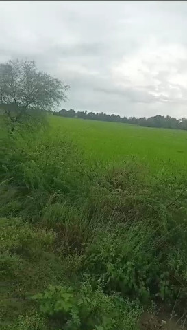 Additional image 3 of Sultanpur Road, Lucknow