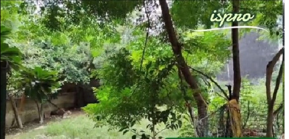 Additional image 2 of Vishnu Garden, Gurgaon