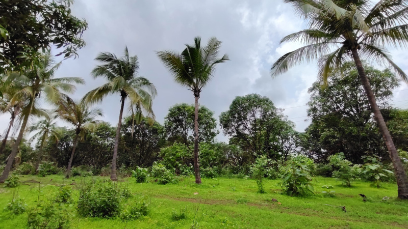 Additional image 3 of Karjat, Mumbai