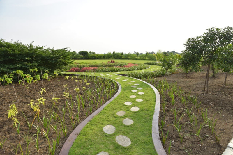 Additional image 3 of Sone Gaon, Nagpur