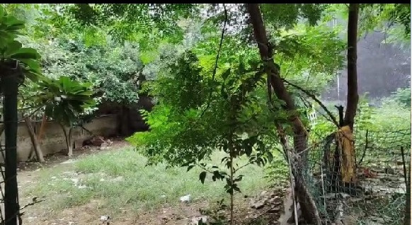 Additional image 3 of Vishnu Garden, Gurgaon