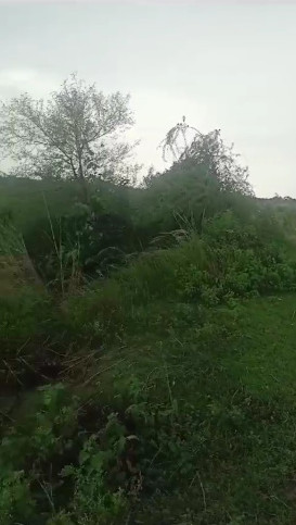 Additional image 2 of Sultanpur Road, Lucknow