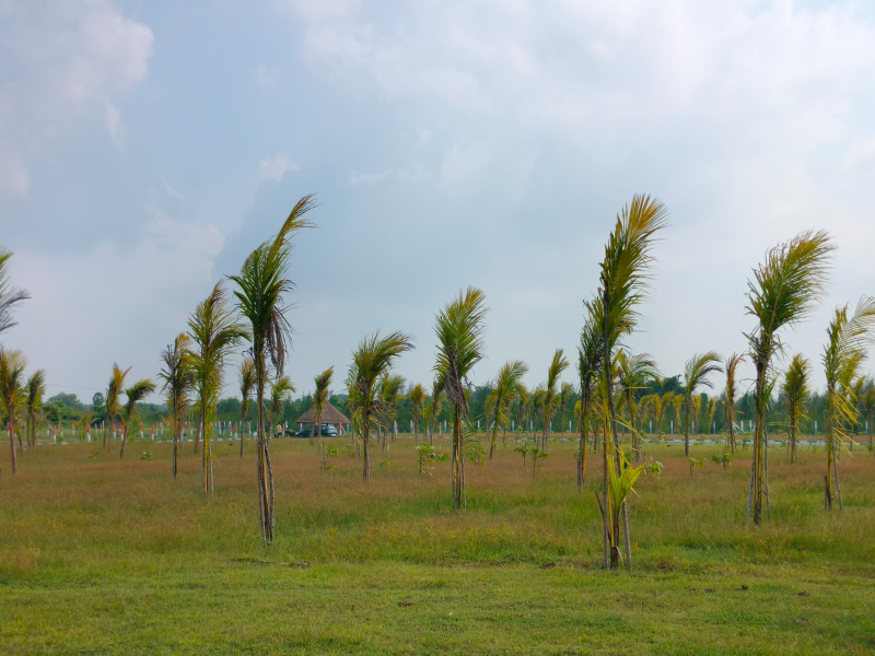 Additional image 2 of Madurantakam, Chennai