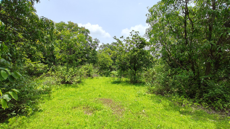 Additional image 2 of Karjat, Mumbai