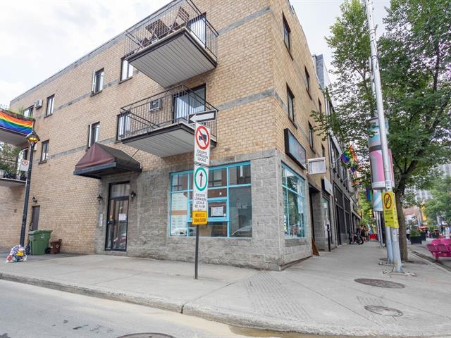 1350 Rue Montcalm|#4|Montréal (Ville-Marie), Quebec H2L3G7