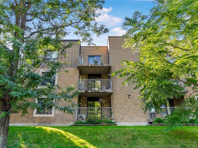 8325 Rue Sherbrooke E.|#11|Montréal (Mercier/Hochelaga-Maisonneuve), Quebec H1L1A6