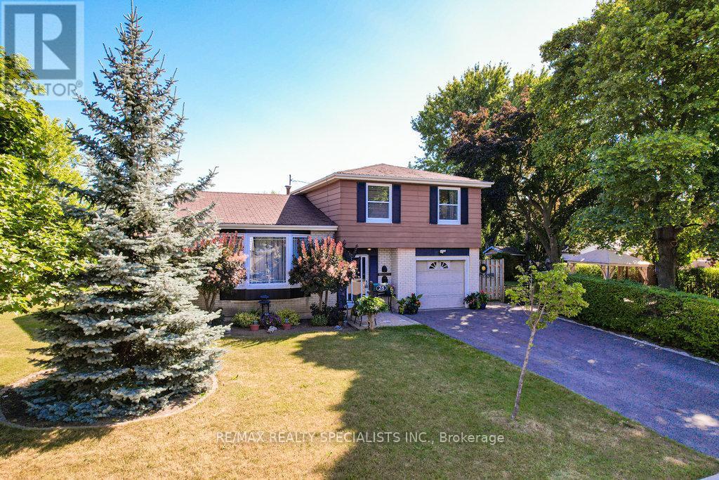 Property image for 28 BROMLEY CRESCENT|Brampton (Avondale), Ontario L6T1Z1