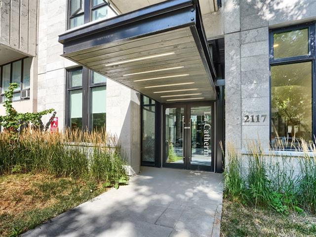 2117 Rue Tupper|#307|Montréal (Ville-Marie), Quebec H3H0B2