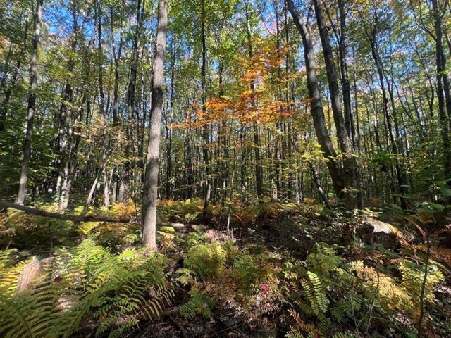 Property image for Rue Hervé S.|Saint-Amable, Quebec J0L1N0