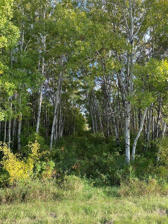 Property image for 0 Floodway Drive S|St Clements, Manitoba R1A2A8