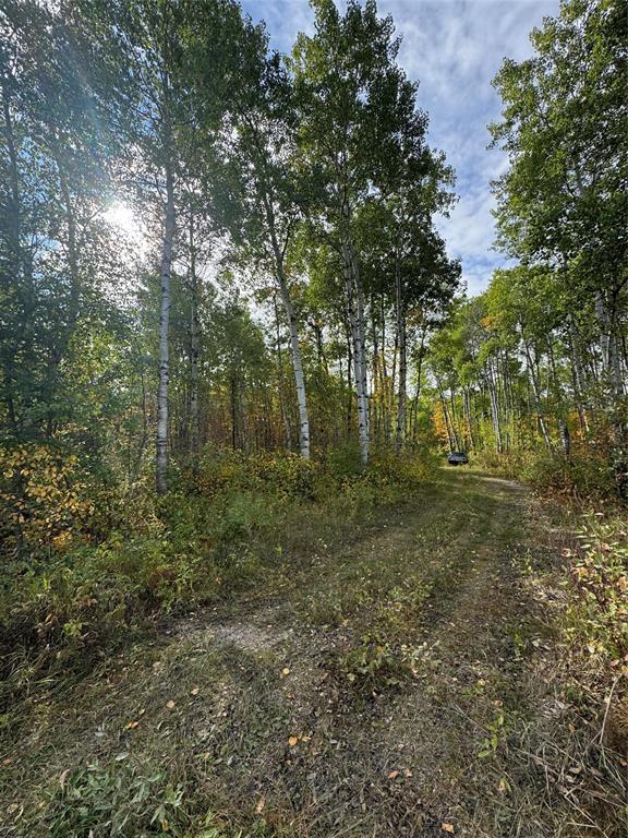Property image for 37046 81 Road|Brokenhead Rm, Manitoba R0E2B0