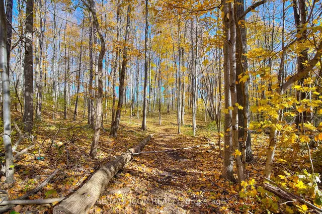 Additional image 27 of 35 Green Valley Dr Unit 103