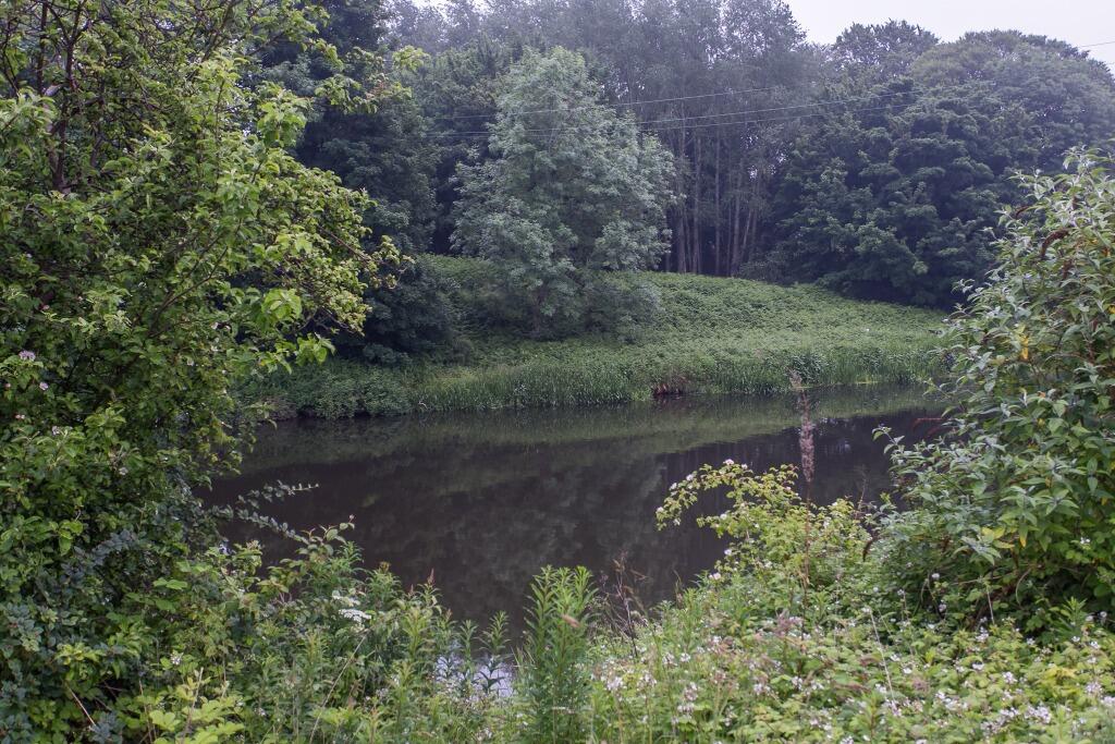 Additional image 14 of Donside Grove, Tillydrone, Aberdeen, AB24