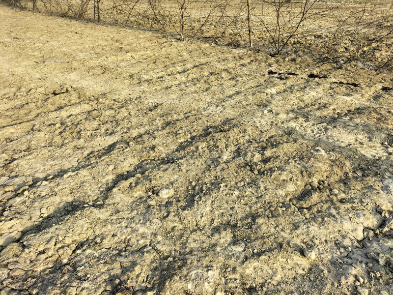 Additional image 3 of Harinagar Ashram, Ashram, Delhi