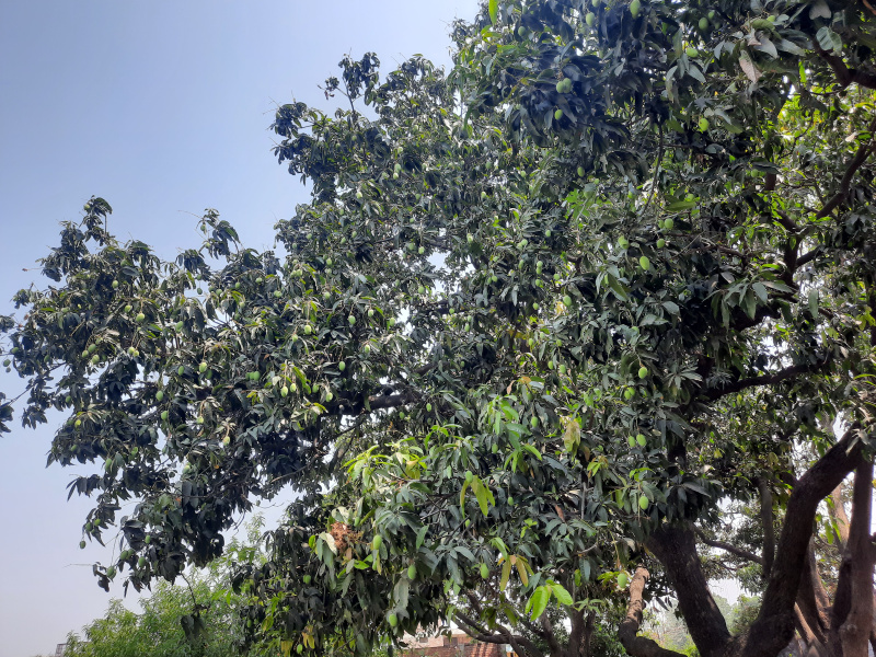 Additional image 2 of Bithoor, Kanpur