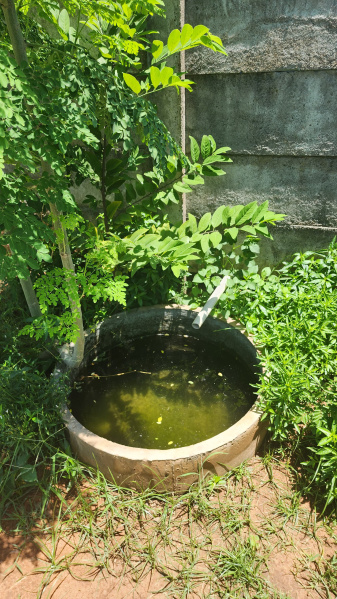 Additional image 2 of Moratandi, Pondicherry