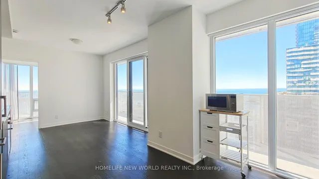 88 Harbour St Unit 4810