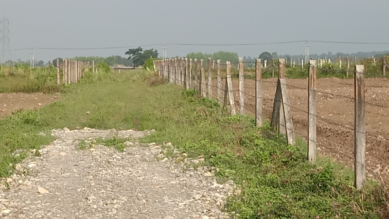 Additional image 2 of Vikas Nagar, Dehradun