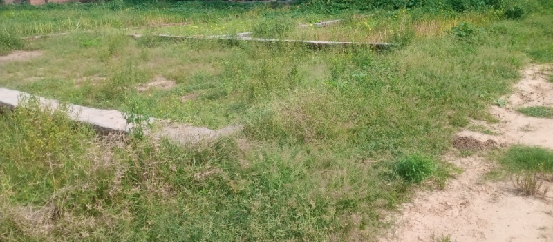 Additional image 2 of Karjaha, Gorakhpur