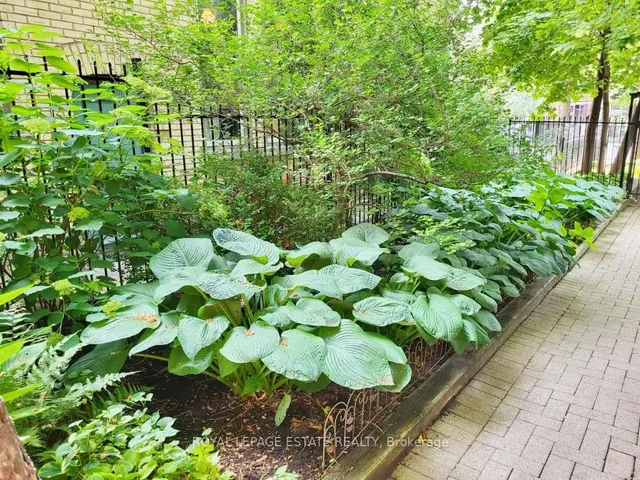 Additional image 31 of 77 Maitland Pl Unit 1526