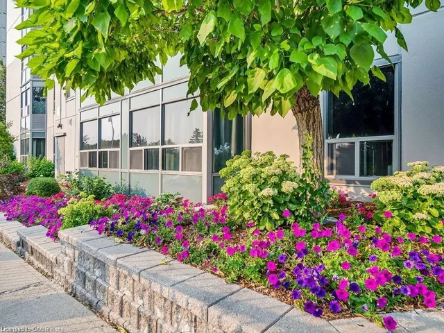 Additional image 3 of 55 Green Valley Dr Unit 307