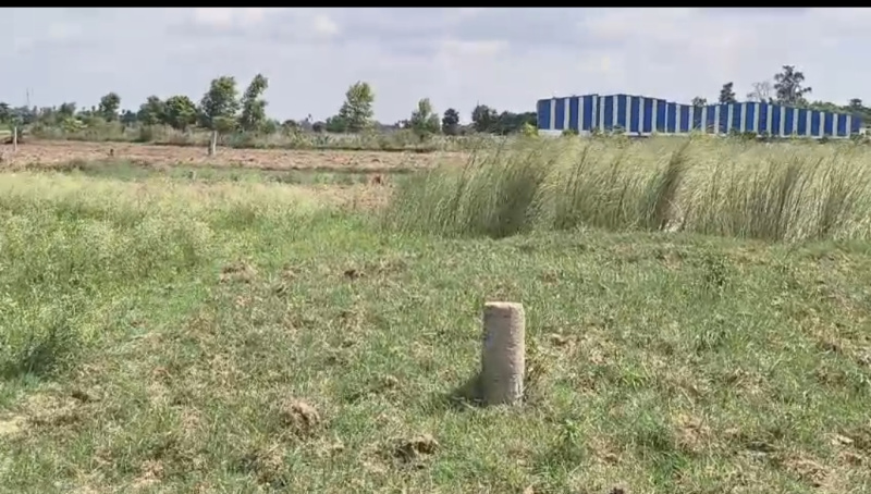 Additional image 2 of Kanhauli, Bihta, Patna