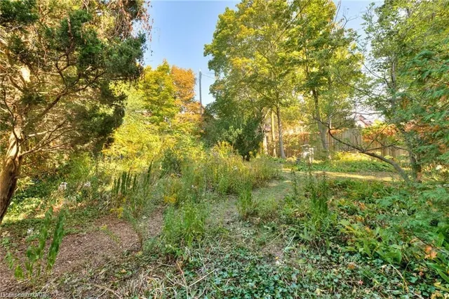 Additional image 36 of 44 Ellen St