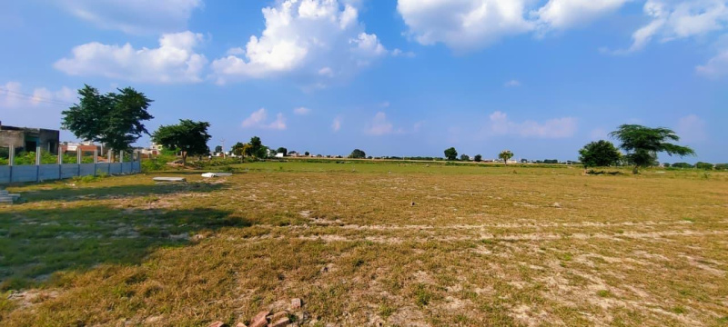 Primary image of Rohta, Agra